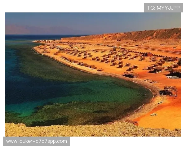 埃及足球明星的传奇之路：从尼罗河畔到世界舞台的闪耀时刻